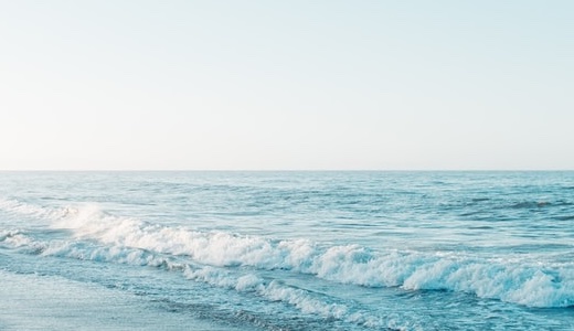 大量おしっこ製造方法